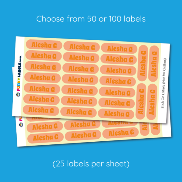 Stick On Colour Label with 2 Lines of Text - Image 5