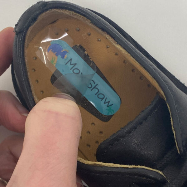 Deluxe Dinosaur Shoe Covers